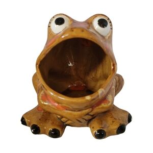 Vintage Frog Dishcloth Holder
